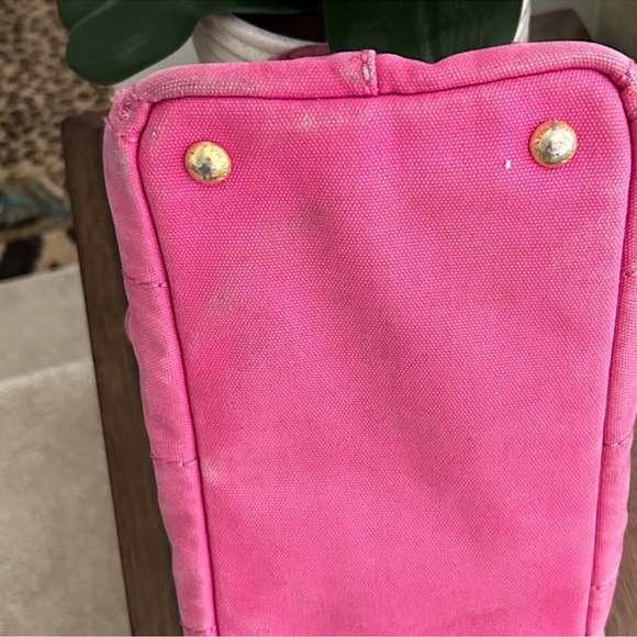 PRADA CANAPA  PEONIA CANVAS Mini Tote!  Pre-Loved - Picture 7 of 10